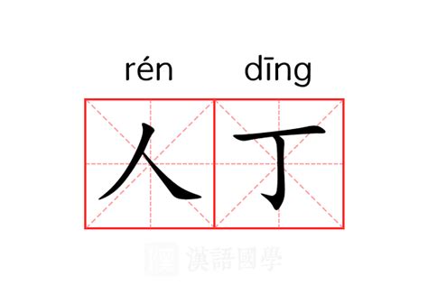 人丁|人丁 (rén dīng) Definition & Meaning